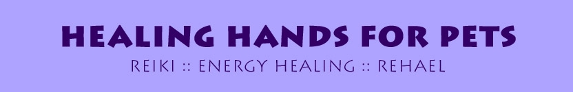 Healing Hands for Pets :: Reiki Energy Healing :: Spiritual Response Therapy - SRT :: Integrated Energy Therapy - IET for Pets :: Distance Healing for Your Pet to relieve pain, recover from illness and surgery, and restore health and wellbeing.