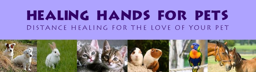 Healing Hands for Pets - Distance Healing for Your Pet - Energy Healing for Dogs & Cats - Distance Energy Healing for Companion Animals to facilitate healing and relieve pain. Healing Modalities include Reiki Energy Healing, Rehael Energy Healing, SRT-Spiritual Response Therapy, IET for Pets-Integrated Energy Therapy