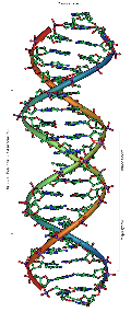 Distance 12 Strand DNA Activation available by phone.