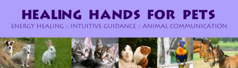 Healing Hands for Pets - Energy Healing, Intuitive Guidance & Spiritual Healing for Companion Animals