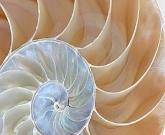 Deena Douglas Energy Coaching. Energy Healng techniques release blockages in the energy field (chakras, meridians, etc.) so you are able to create the life you desire.